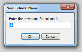 图 11.4  New Column Name (新列名)